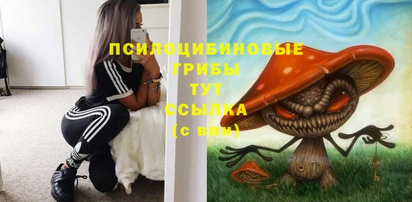 Альфа ПВП Покров