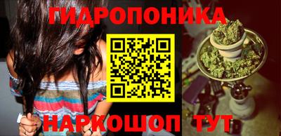 кокс Кингисепп