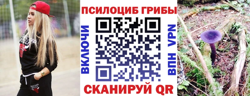 KRAKEN зеркало  купить   Калининград  Галлюциногенные грибы прущие грибы 