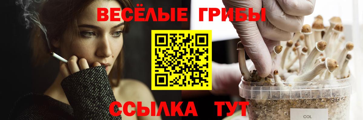 Калининград  Псилоцибиновые грибы мухоморы  Псилоцибиновые грибы Psilocybe  Вход с VPN 